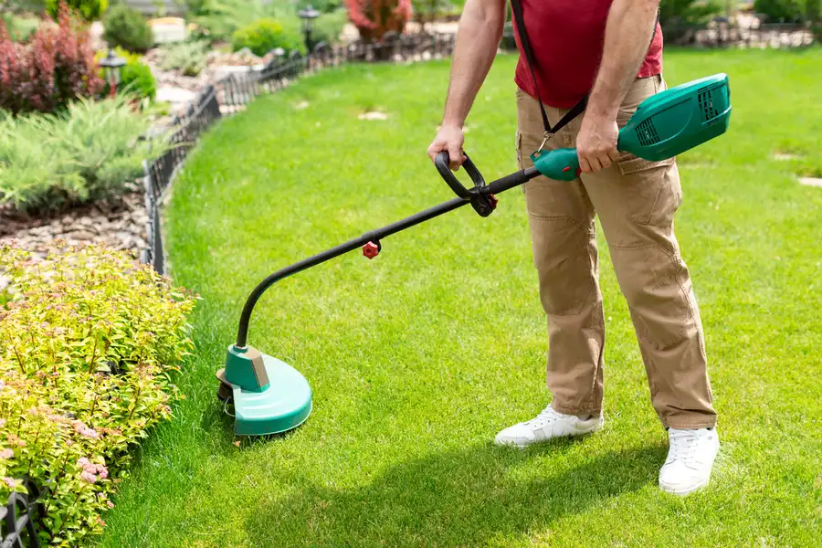 Experienced Lawn Care Greensboro, NC