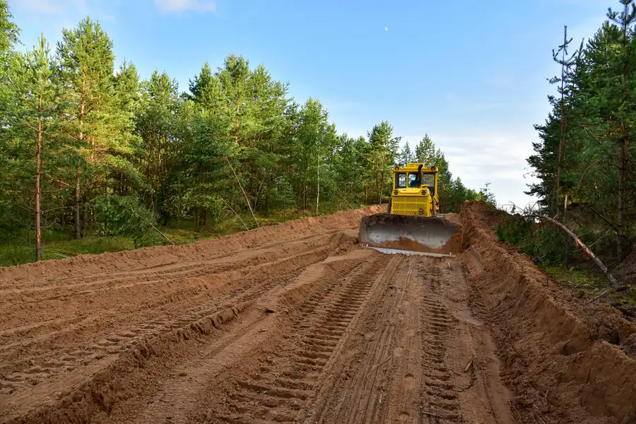 How Land Clearing Impacts The Local Environment And Ecosystem in Greensboro, NC