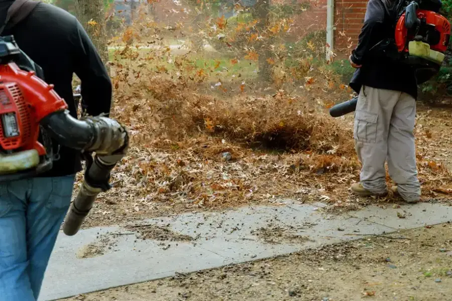 Local Leaf Removal Greensboro, NC Local Leaf Removal Greensboro, NC