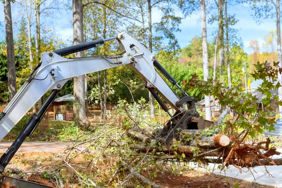 Professional Land Clearing Greensboro, NC Professional Land Clearing Greensboro, NC