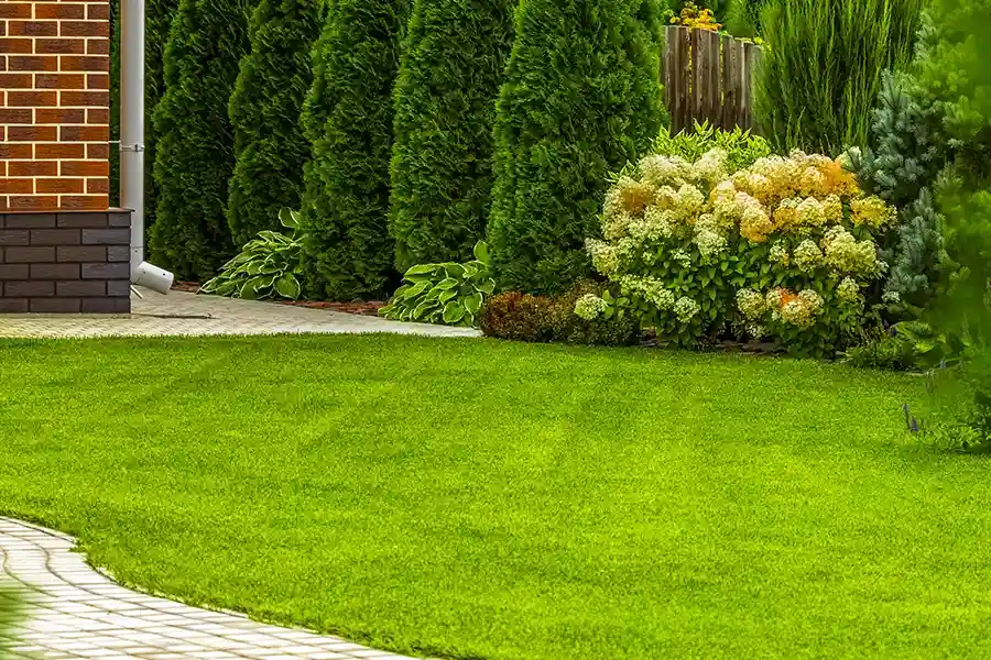 Reputable Lawn Care Greensboro, NC