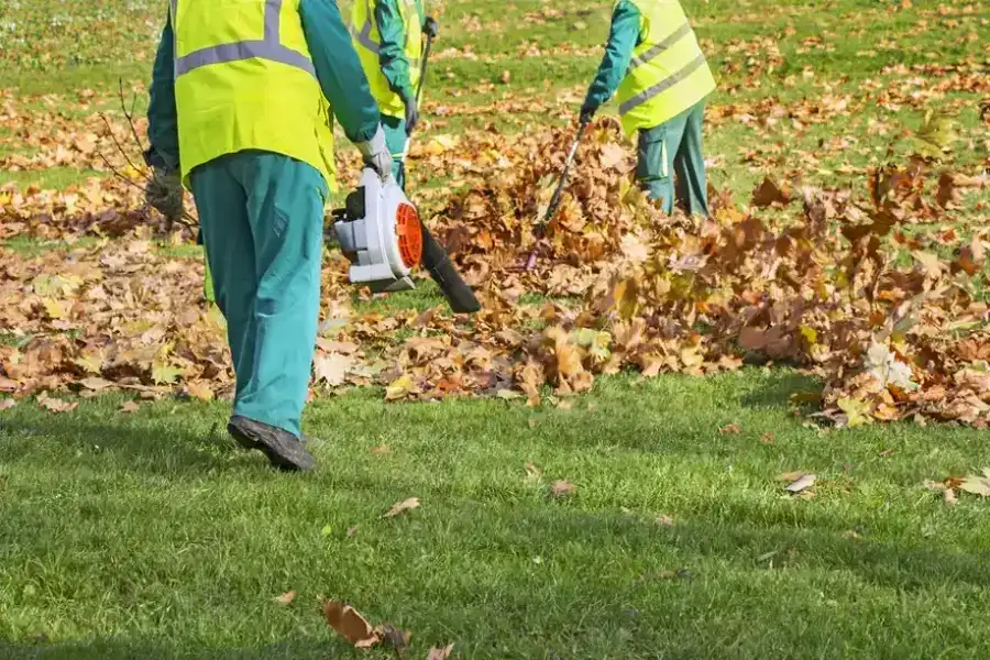Superior Leaf Removal Greensboro, NC Superior Leaf Removal Greensboro, NC
