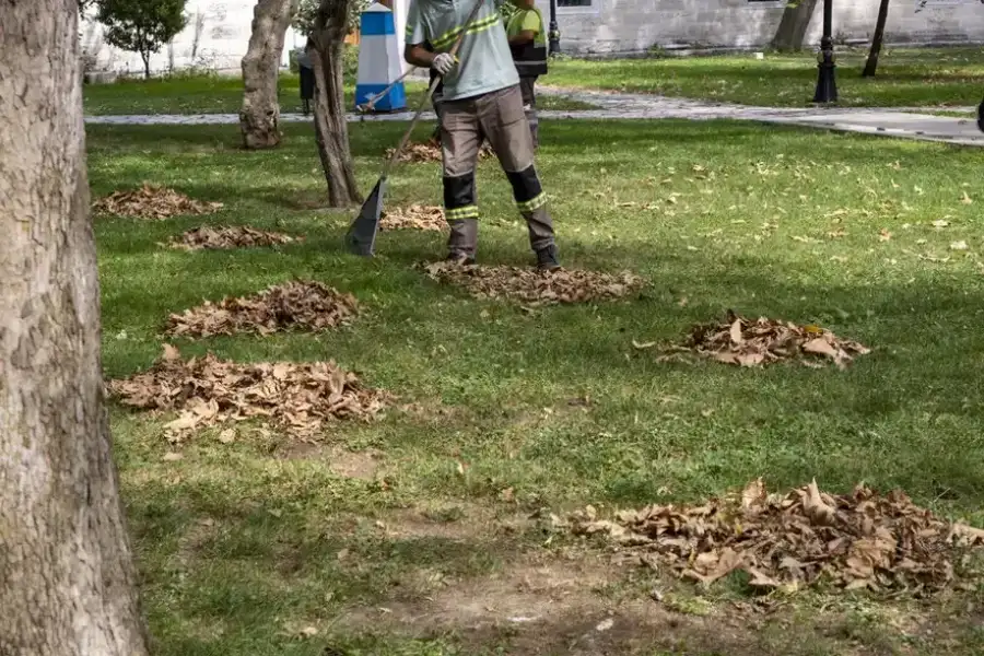 Top-rated Leaf Removal Greensboro, NC Top-rated Leaf Removal Greensboro, NC