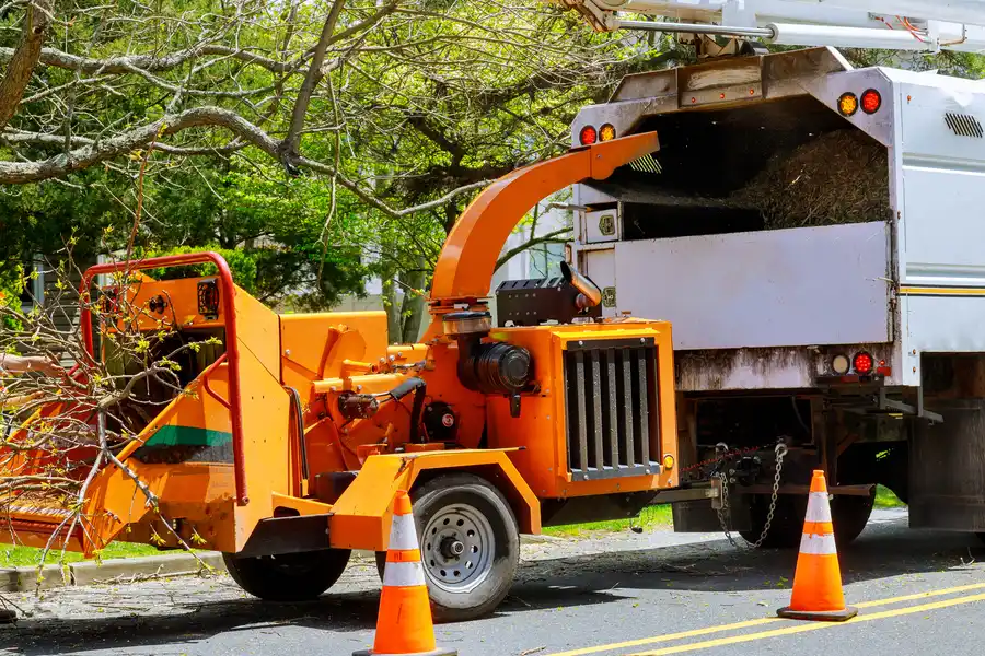 Tree Removal And Its Role In Storm Preparation Greensboro, NC