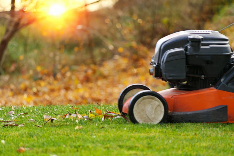 Why Trees Need Seasonal Care For Long-term Lawn Success in Greensboro, NC